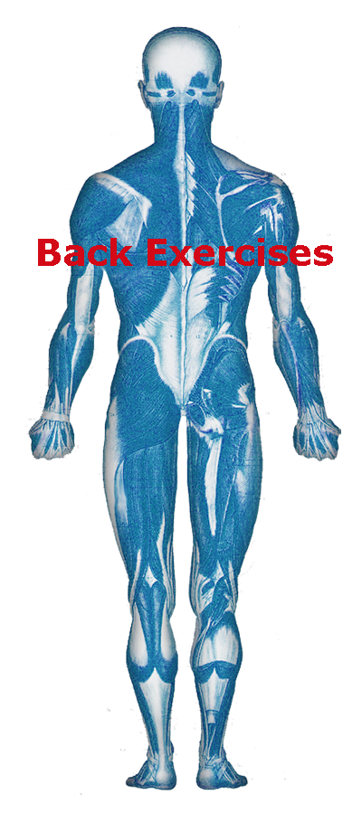 Back Exercises