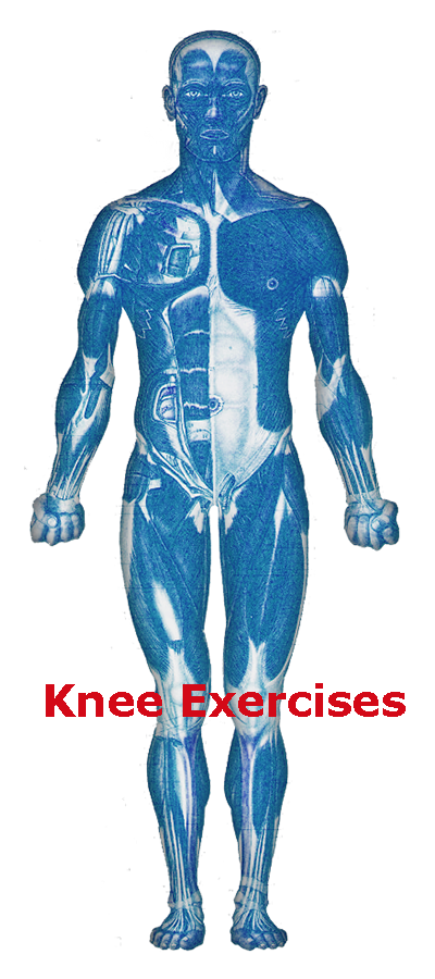 Knee Exercises