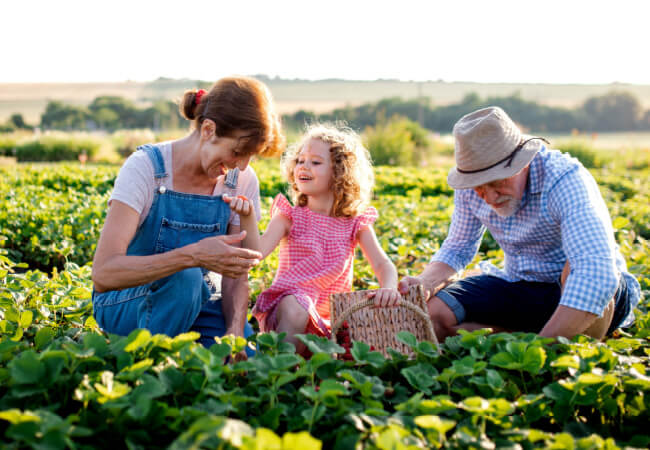 Don’t Let Arthritis Keep You Out Of The Garden